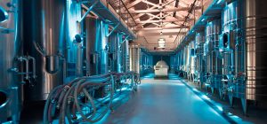 Exis Food. Consultoría alimentaria